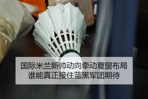 国际米兰新帅动向牵动夏窗布局 谁能真正接住蓝黑军团期待 | leyu